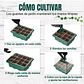 Bandeja Germinación Semillas Plástica x1 Unidades mas Cúpula Alta - Miniatura 8