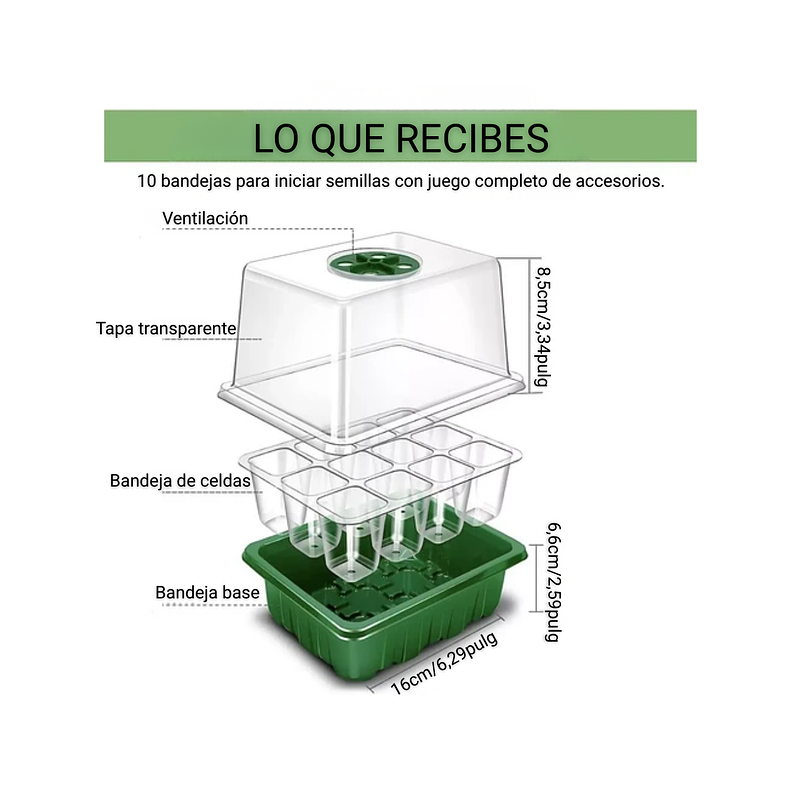 Bandeja Germinación Semillas Plástica x1 Unidades mas Cúpula Alta 10