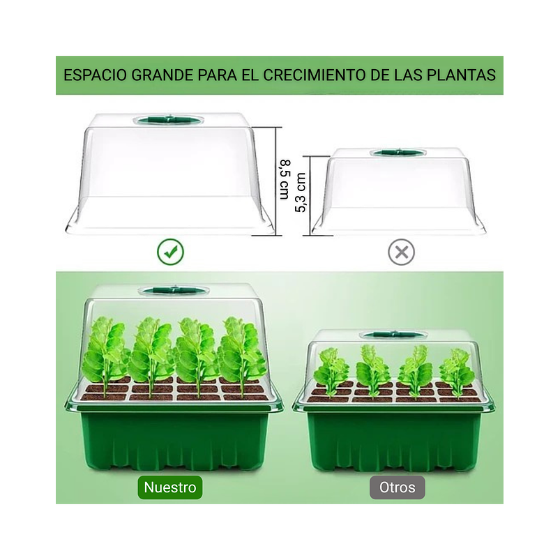 Bandeja Germinación Semillas Plástica x1 Unidades mas Cúpula Alta 6