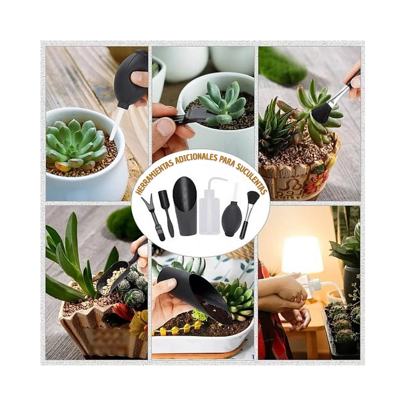Kit Herramientas de Jardín x13 Piezas Cactus y Suculentas 5