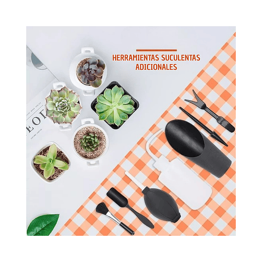 Kit Herramientas de Jardín x13 Piezas Cactus y Suculentas 6