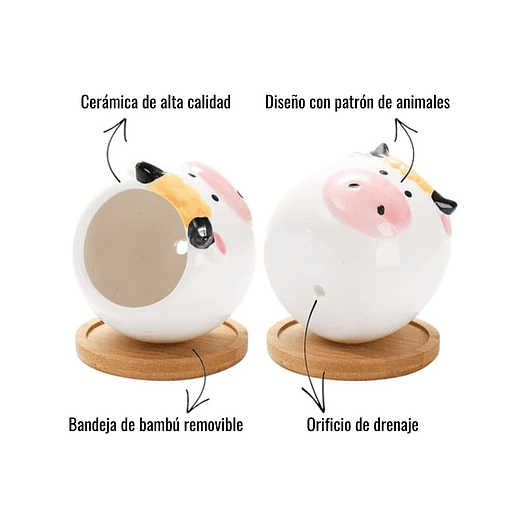 Juego Macetas Cerámica Cactus Y Suculentas X6 Pz Animalitos 3