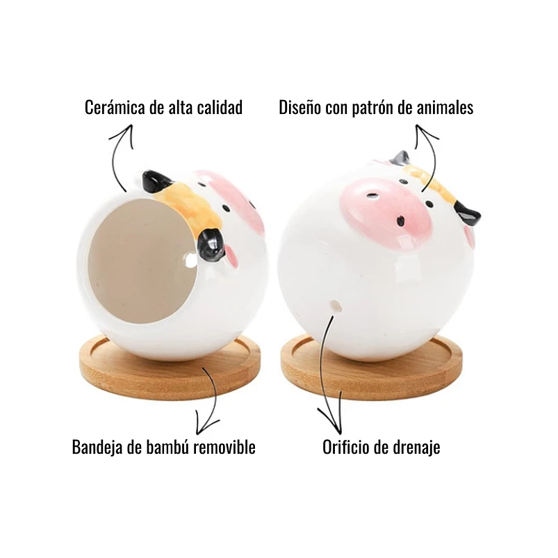 Juego Macetas Cerámica Cactus Y Suculentas X6 Pz Animalitos 3