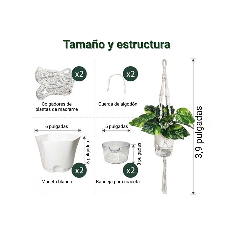 Macramé Colgante de Plantas x2 Unidades más macetas Autoriego 4