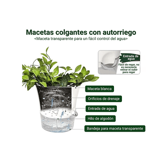 Macramé Colgante de Plantas x2 Unidades más macetas Autoriego 5