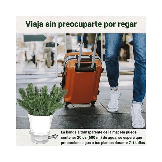 Macramé Colgante de Plantas x2 Unidades más macetas Autoriego 7