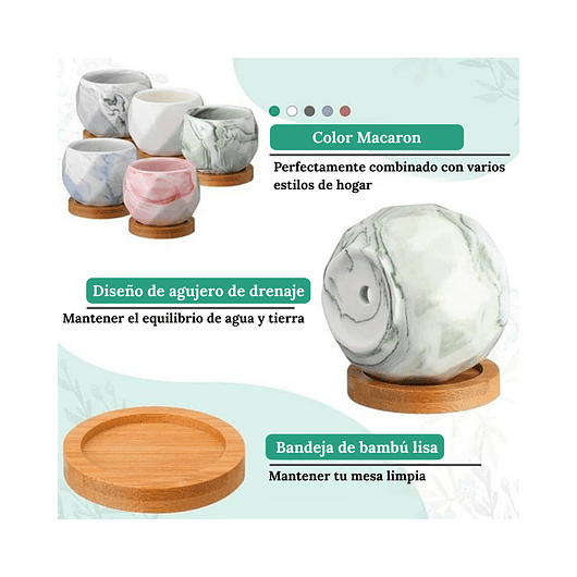 Juego Macetas Cerámica Fina x10 piezas Plantas Cactus y Suculentas 3