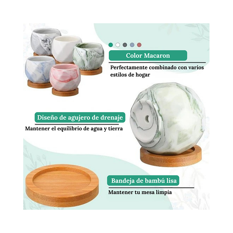 Juego Macetas Cerámica Fina x10 piezas Plantas Cactus y Suculentas 3