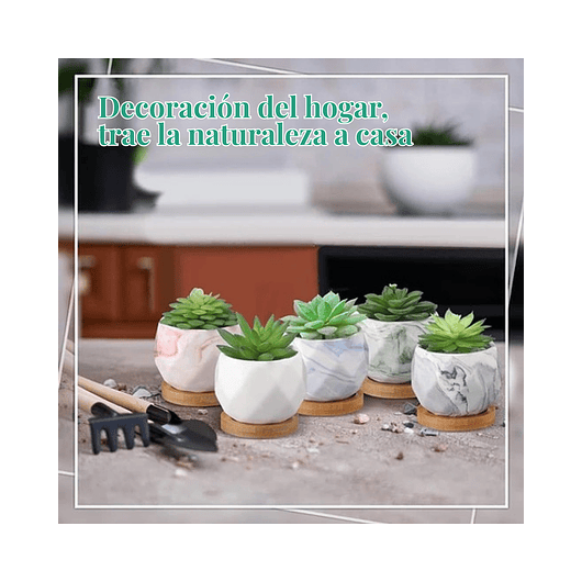 Juego Macetas Cerámica Fina x10 piezas Plantas Cactus y Suculentas 4