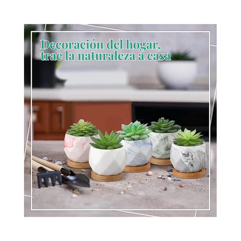 Juego Macetas Cerámica Fina x10 piezas Plantas Cactus y Suculentas 4