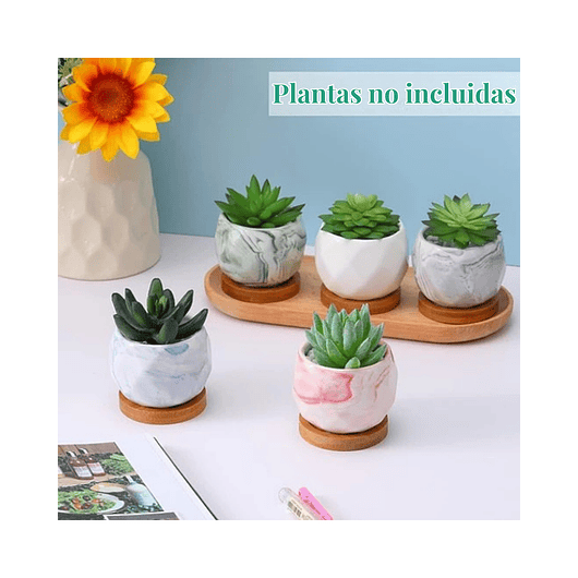 Juego Macetas Cerámica Fina x10 piezas Plantas Cactus y Suculentas 5