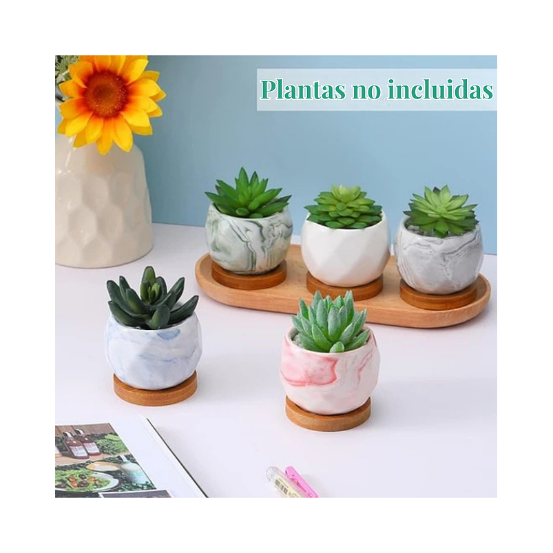 Juego Macetas Cerámica Fina x10 piezas Plantas Cactus y Suculentas 5