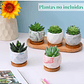 Juego Macetas Cerámica Fina x10 piezas Plantas Cactus y Suculentas - Miniatura 5