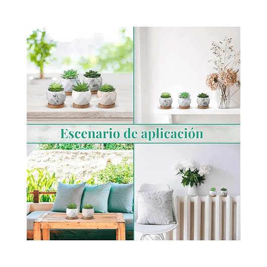 Juego Macetas Cerámica Fina x10 piezas Plantas Cactus y Suculentas 6