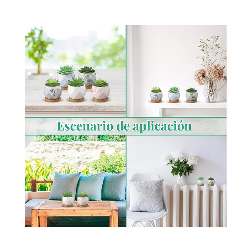 Juego Macetas Cerámica Fina x10 piezas Plantas Cactus y Suculentas 6