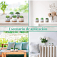Juego Macetas Cerámica Fina x10 piezas Plantas Cactus y Suculentas - Miniatura 6