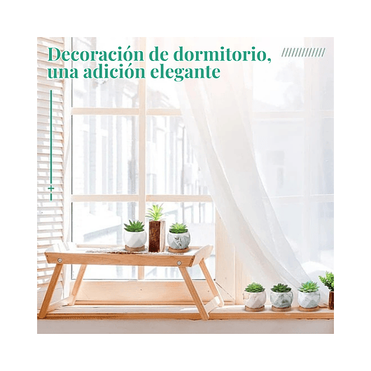 Juego Macetas Cerámica Fina x10 piezas Plantas Cactus y Suculentas 7
