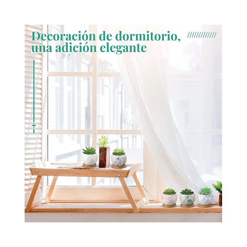 Juego Macetas Cerámica Fina x10 piezas Plantas Cactus y Suculentas 7
