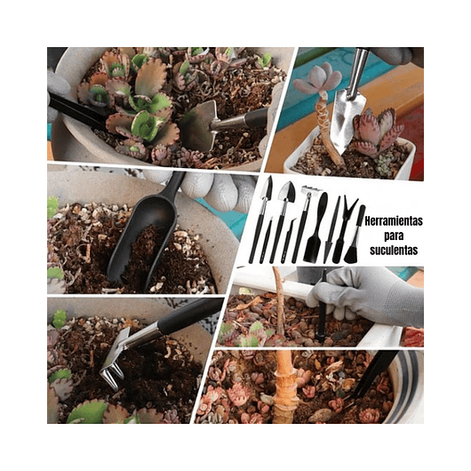 Kit Herramientas Plantas Suculentas y Bonsai x 20piezas más estuche 4