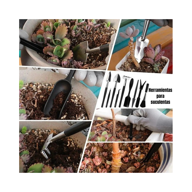 Kit Herramientas Plantas Suculentas y Bonsai x 20piezas más estuche 4