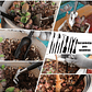 Kit Herramientas Plantas Suculentas y Bonsai x 20piezas más estuche - Miniatura 4