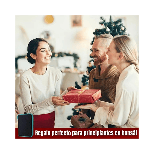 Kit Herramientas Plantas Suculentas y Bonsai x 20piezas más estuche 7