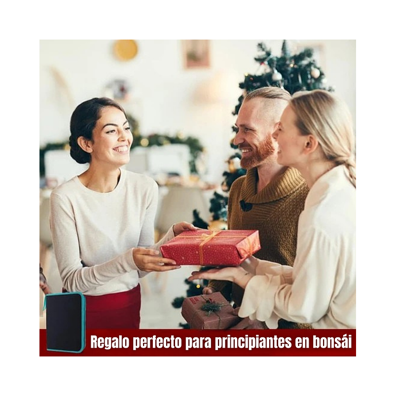 Kit Herramientas Plantas Suculentas y Bonsai x 20piezas más estuche 7