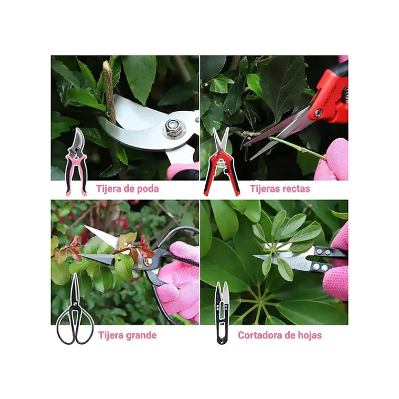 Kit Herramientas Jardín Plantas Bonsai Acero x19 Piezas más estuche 4