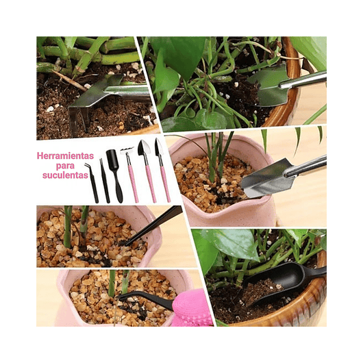 Kit Herramientas Jardín Plantas Bonsai Acero x19 Piezas más estuche 6