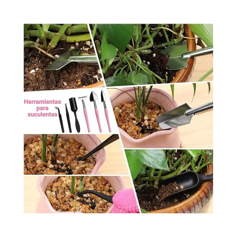 Kit Herramientas Jardín Plantas Bonsai Acero x19 Piezas más estuche 6