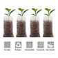 Bolsa Siembra Plantas Tela Biodegradable Semillero X 100pz - Miniatura 4