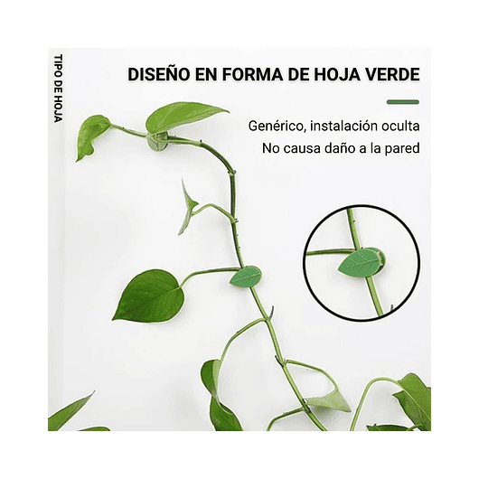 Gancho De Amarre De Plantas, Hortalizas De Pared X 10 Piezas 2