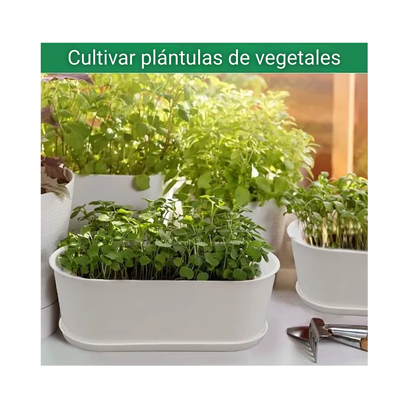 Maceta De Plantas Ovalada más plato Blanca Abs Cactus Suculenta 2