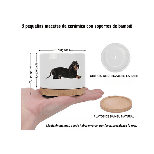 Juego Macetas x3 Unidades Cerámica Premium más plato Diseño Perros 2