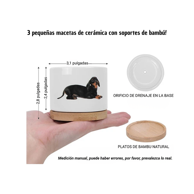 Juego Macetas x3 Unidades Cerámica Premium más plato Diseño Perros 2