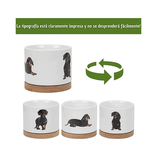 Juego Macetas x3 Unidades Cerámica Premium más plato Diseño Perros 3