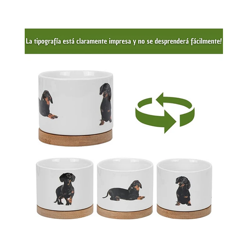Juego Macetas x3 Unidades Cerámica Premium más plato Diseño Perros 3