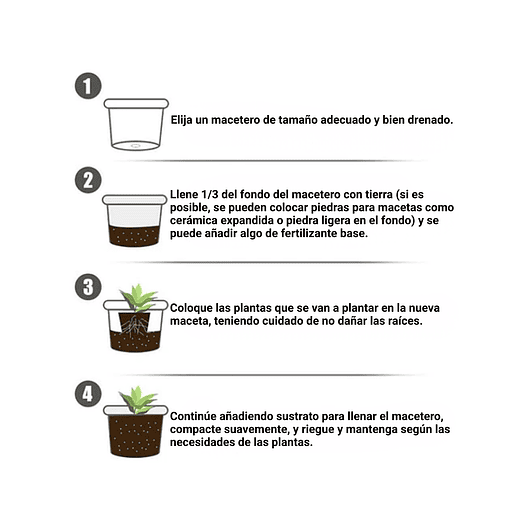 Enraizante Plantas Hormonas Estimulante Crecimiento 1,76oz 2