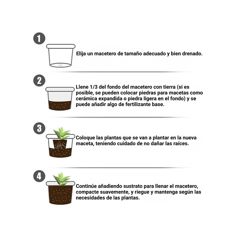 Enraizante Plantas Hormonas Estimulante Crecimiento 1,76oz 2