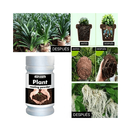 Enraizante Plantas Hormonas Estimulante Crecimiento 1,76oz 5