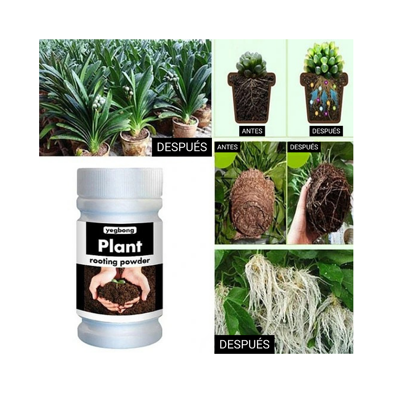 Enraizante Plantas Hormonas Estimulante Crecimiento 1,76oz 5