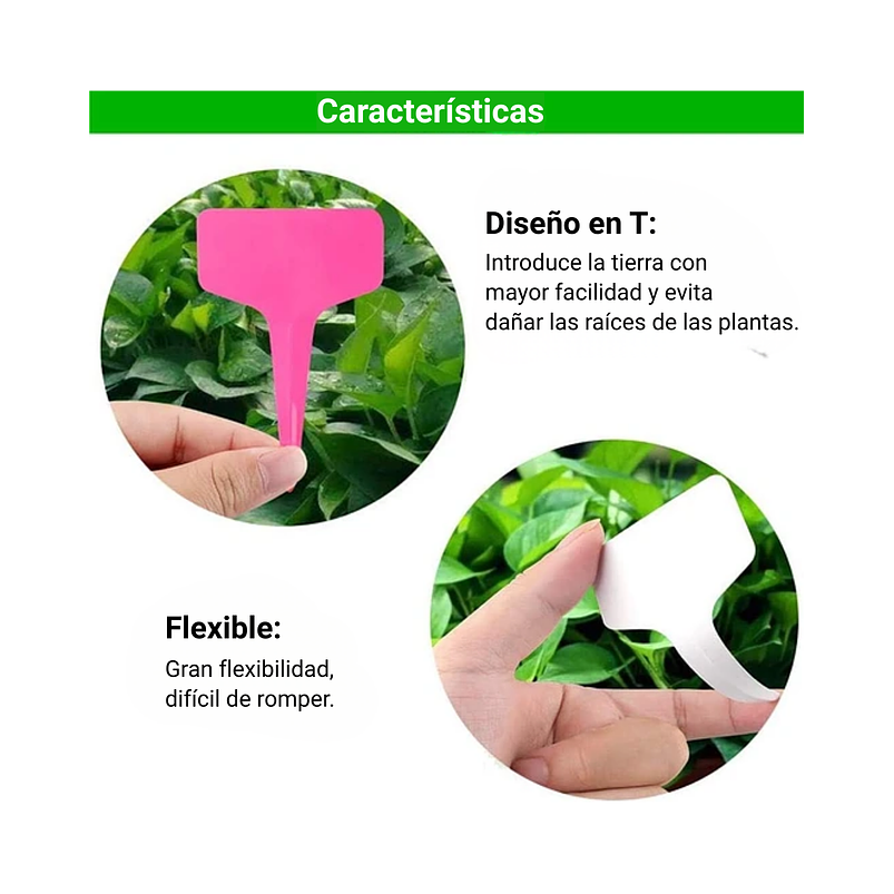 Etiqueta De Plantas Plástica Marcar Siembra x50unid Colores 9