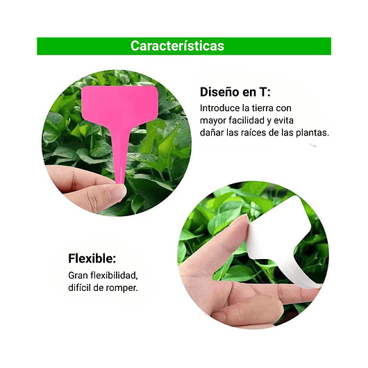 Etiqueta De Plantas Plástica Marcar Siembra X100unid Colores 8