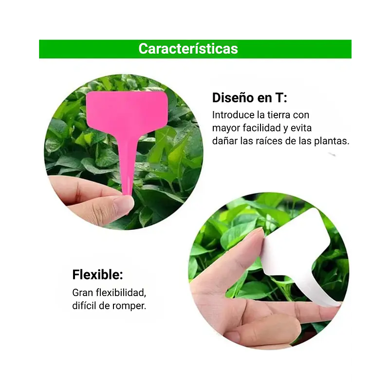 Etiqueta De Plantas Plástica Marcar Siembra X100unid Colores 8
