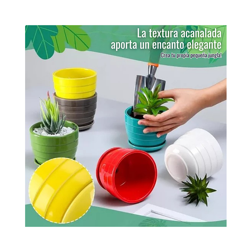 Maceta Plantas Cerámica Brillante 01 Unid Suculentas, Cactus 3