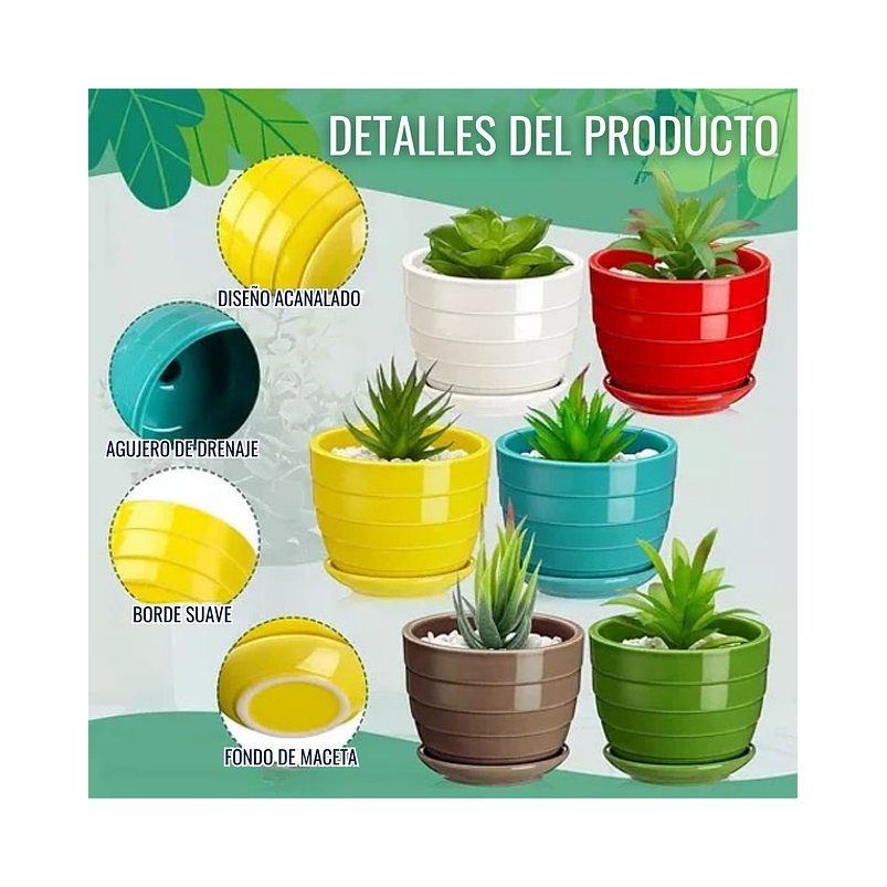 Maceta Plantas Cerámica Brillante 01 Unid Suculentas, Cactus 4