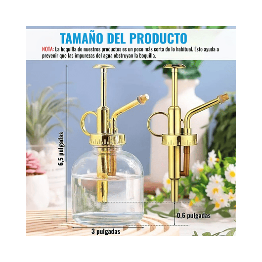 Regadera Plantas Spray Vintage En Vidrio x215ml Rociador 5