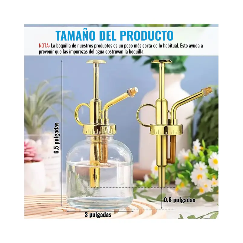 Regadera Plantas Spray Vintage En Vidrio x215ml Rociador 5