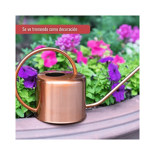 Regadera De Plantas Jardinería x 40 Onzas En Acero 4