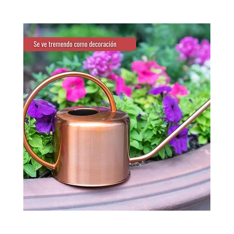 Regadera De Plantas Jardinería x 40 Onzas En Acero 4